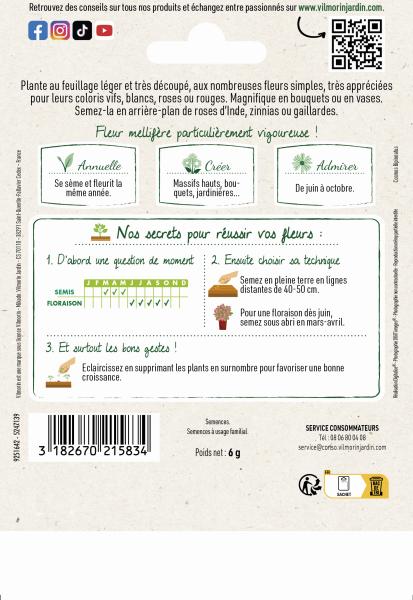 Fleurs - Cosmos Sensation Varié - Grand Modèle - MEDIA_PACKAGING_VERSO